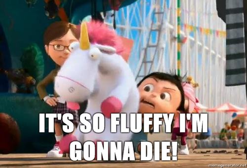 It's so fluffy I'm gonna die!